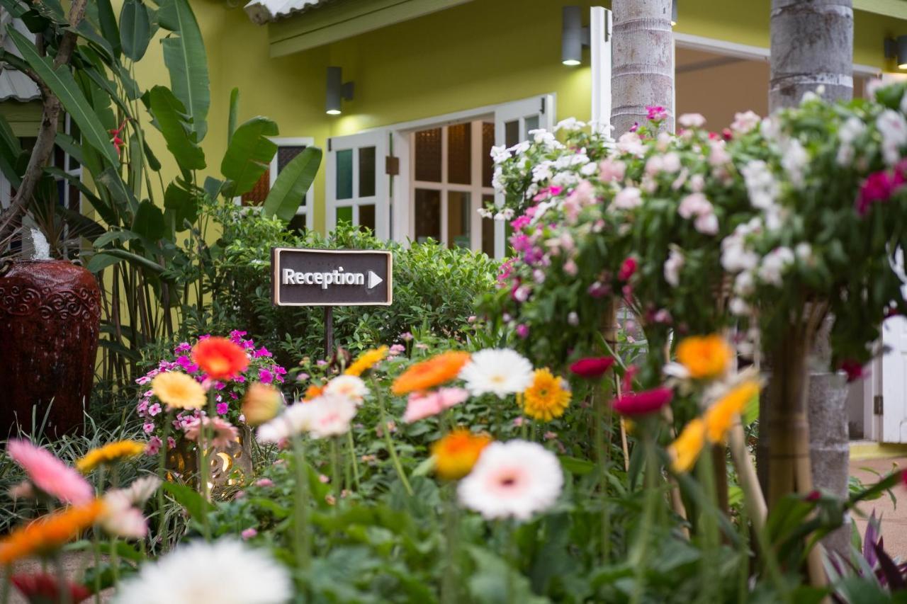 The Twenty Lodge Chiang Mai Exterior photo