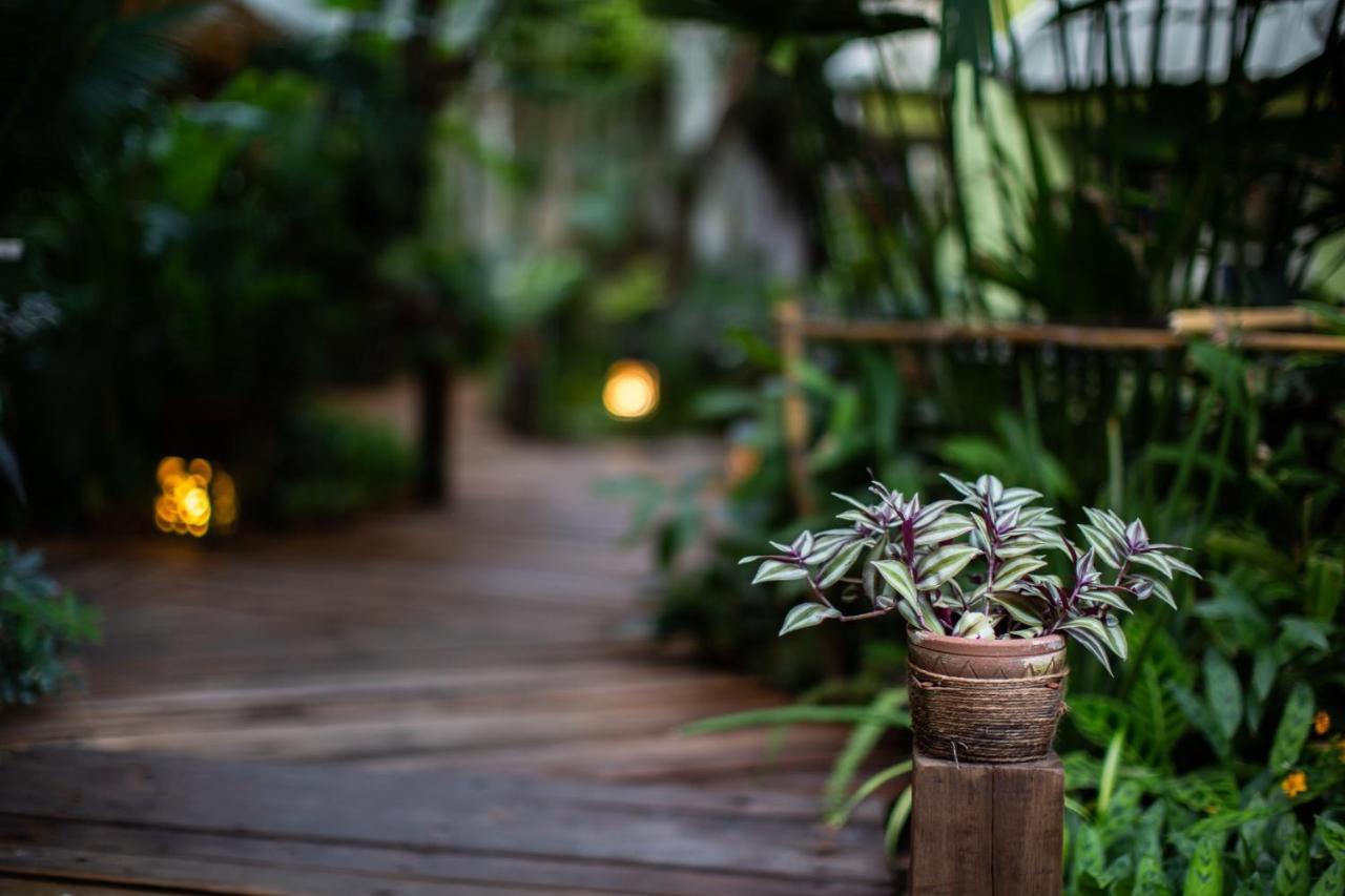 The Twenty Lodge Chiang Mai Exterior photo